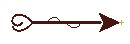 Seta